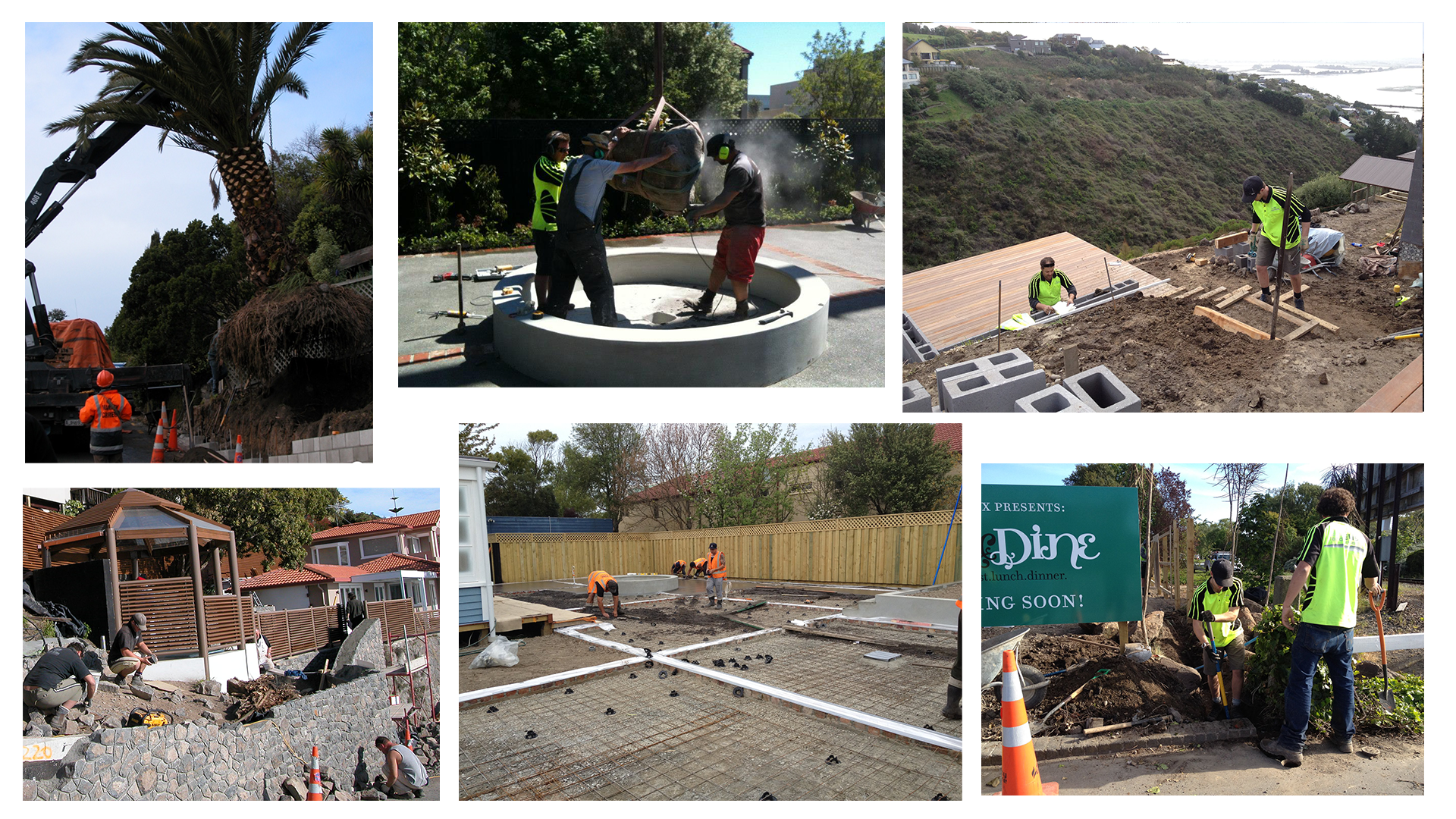 eel collagertydfghtrh